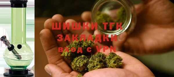 дмт Вяземский