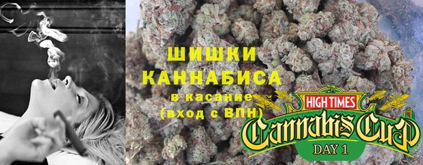 дмт Вяземский