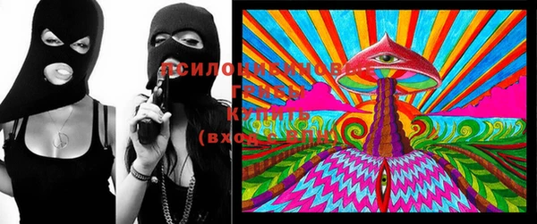 дмт Вяземский