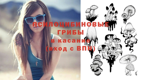 мяу мяу мука Вязьма