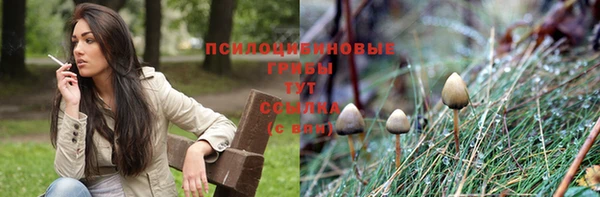 spice Вязники