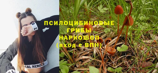 мяу мяу мука Вязьма