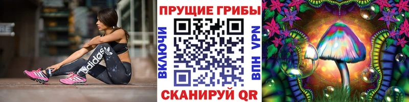 Галлюциногенные грибы прущие грибы  Купить где  Кузнецк 